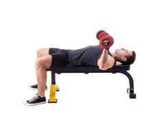 L8012 EXERCISE BENCH HMS PREMIUM