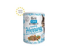 BRIT CARE Cat Superfruits Salmon skanėstai 100g