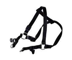 Chaba Dog pakinktai 3-60 cm
