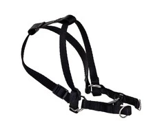 Chaba Dog pakinktai 3-60 cm