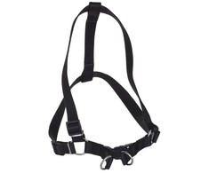 Chaba Dog pakinktai 6-90 cm