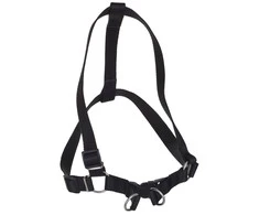 Chaba Dog pakinktai 6-90 cm