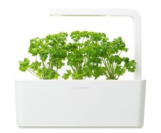 Click And Grow Click &amp; Grow Smart Garden papildymas Petražolėmis 3 vnt