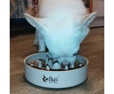 DINGO Bamboo bowl - dog bowl - 800 ml