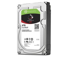Seagate IronWolf internal hard drive 8 TB 256 MB 3.5" Serial ATA III (ST8000VN004)