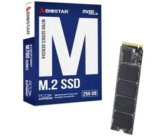 SSD Biostar M760 256GB
