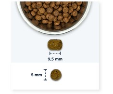 EUKANUBA Senior vištiena - sausas kačių maistas - 10kg