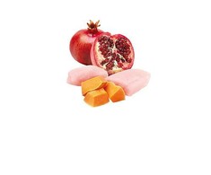 FARMINA N&amp;D PUMPKIN - DOG Wet vištiena moliūgas&amp;Pomegranate ADULT 285 g (pak.6)