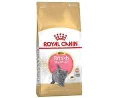 Royal Canin britų trumpaplaukis kačiukas 2kg