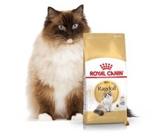 Royal Canin Ragdoll 400g