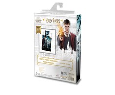 Faro JAUNIMO PATALYS 140 x 200 MEDVILNINĖ HOGWARTS HARRY POTTER