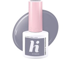 Hi Hybrid Hibridinis lakas 424