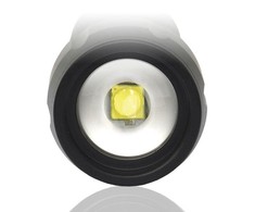 EverActive FL-300+