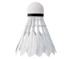 Badmintono plunksniukai Nils NBL6203, 3 vnt.