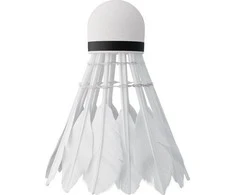 Badmintono plunksniukai Nils NBL6206, 6 vnt.