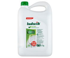 Blow Mėtų skonio indų ploviklis 5kg LUDWIK