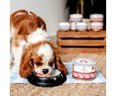 PERRO Junior Pork su morkomis - šlapias šunų maistas - 410g