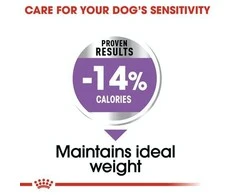Royal Canin Adult Mini sterilizuotas 1kg