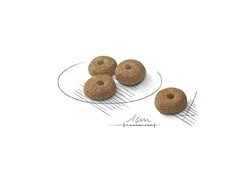 Royal Canin Adult Mini sterilizuota 3kg