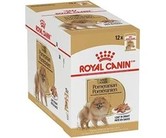 ROYAL CANIN BHN Shih Tzu Adult pašteto pavidalu - šlapias ėdalas suaugusiems šunims - 12 x 85 g