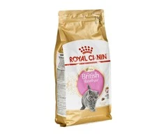 Royal Canin britų trumpaplaukis kačiukas 2kg