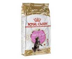 Royal Canin Maine Coon kačiukas 10kg