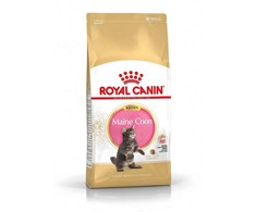 Royal Canin Maine Coon kačiukas 10kg