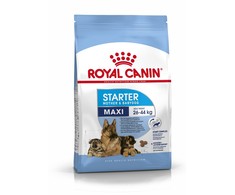 Royal Canin Maxi Starter 15kg