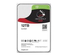 Seagate IronWolf internal hard drive 12 TB 256 MB 3.5" Serial ATA III (ST12000VN0008)