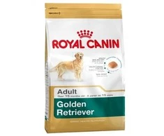 Royal Canin auksaspalvis retriveris suaugęs 12kg