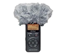 Mikrofono Vėjo Apsauga - Tascam Ws-11