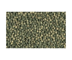Tetra Pleco Tablets pašaras žolėdėms dugninėms akvariumo žuvims tabletėmis,58vnt