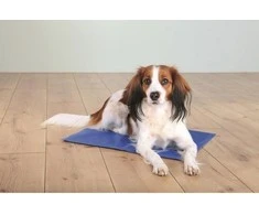 TRIXIE Vėsinantis kilimėlis, XL-XXL: 100x60 cm, mėlynas