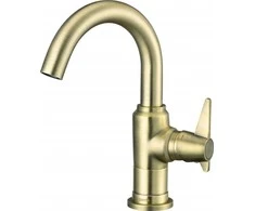 Praustuvo maišytuvas Deante Temisto BQT_M20M, Brass