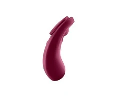SATISFYER SEXY SECRET PANTY VIBRATOR CONNECT APP