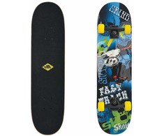 Riedlentė Element Skateboards SCHILDKRÖT FUNWHELLS Riedlentė Skateboard Slider 31'' Fast Track (510649)