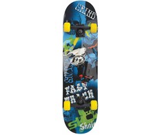 Riedlentė Element Skateboards SCHILDKRÖT FUNWHELLS Riedlentė Skateboard Slider 31'' Fast Track (510649)