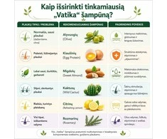 Šampūnas slenkantiems plaukams Wild Cactus, Dabur Vatika, 400 ml