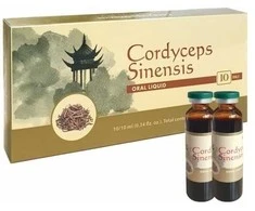 Harbin Yeekong Herb Kininis Kordicepsas, 10ml x 10 buteliukų