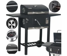 Landgraf BBQ Party anglies grilis sodui