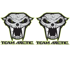 Technikos lipdukai Arctic Cat, su kaukolės motyvu, su laukinės katės motyvu, 2 vnt.