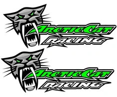 Technikos lipdukai Arctic Cat, su laukinės katės motyvu, 2 vnt.