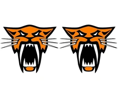 Technikos lipdukai Arctic Cat, su laukinės katės motyvu, oranžinės spalvos, 2 vnt.