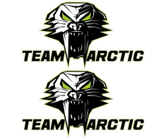 Technikos lipdukai Arctic Cat, su laukinės katės motyvu, 2 vnt.