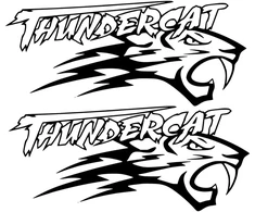 Technikos lipdukai Arctic Cat Thundercat, žaibo motyvo, 2 vnt.