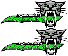 Technikos lipdukai Arctic Cat, žalios spalvos, 2 vnt.