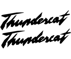 Technikos užrašo lipdukai Arctic Cat Thundercat, 2 vnt.