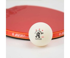 Smj Giant Dragon ITTF *** ABS 40+ 63066 6 vnt