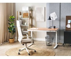 Beliani Biurko regulowane elektrycznie KENLY Ruda/ balta 120 cm 60 cm Z portem USB