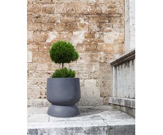 Beliani Doniczka ARAUCARIA 42 cm Pilka